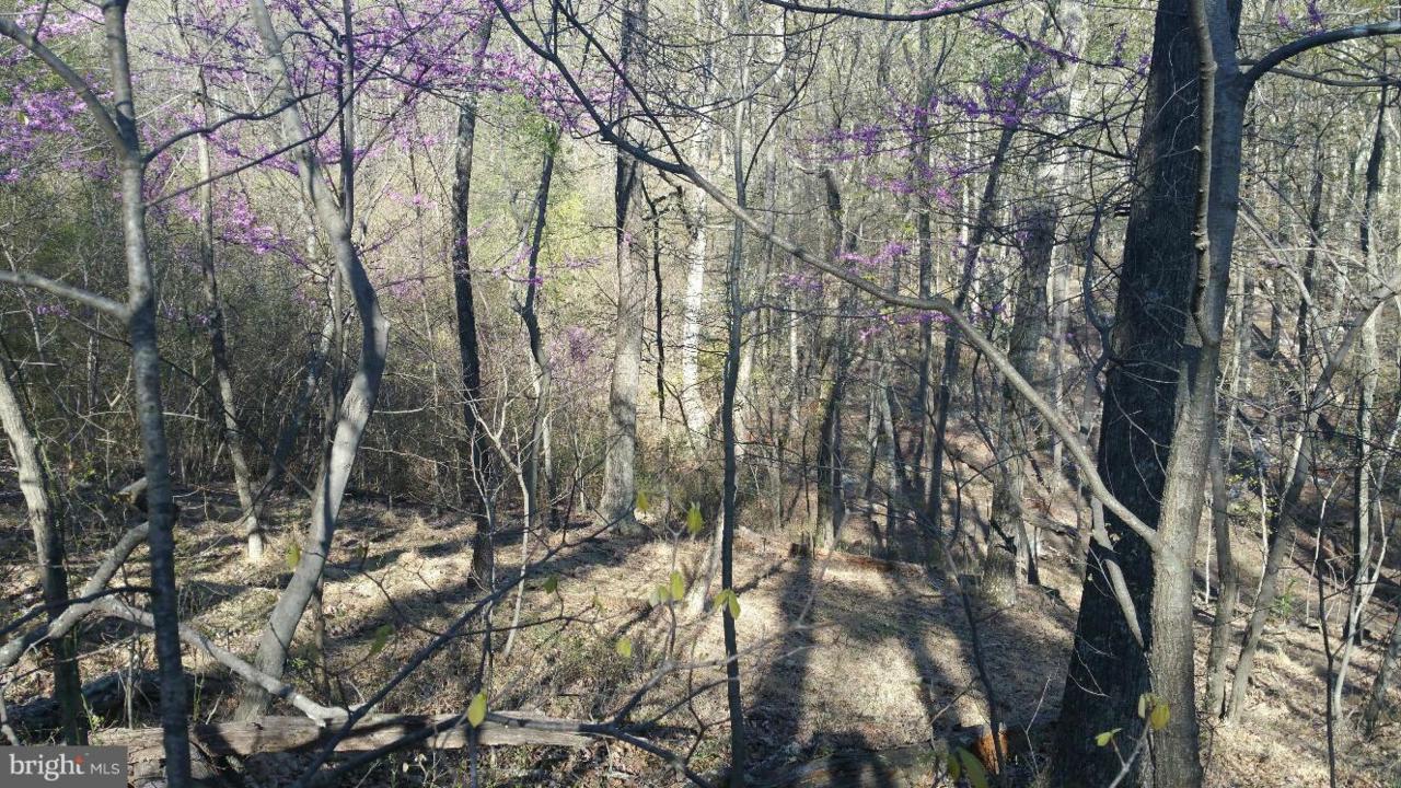 Maverick Trail - Photo 1 Maverick Trail - Photo 1