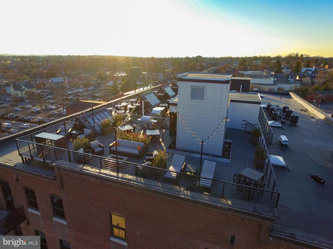 41 Lemon Street - Photo 1