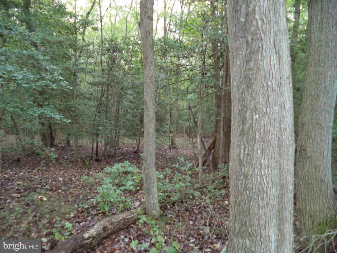 0 Mccabes Corner Road - Photo 1