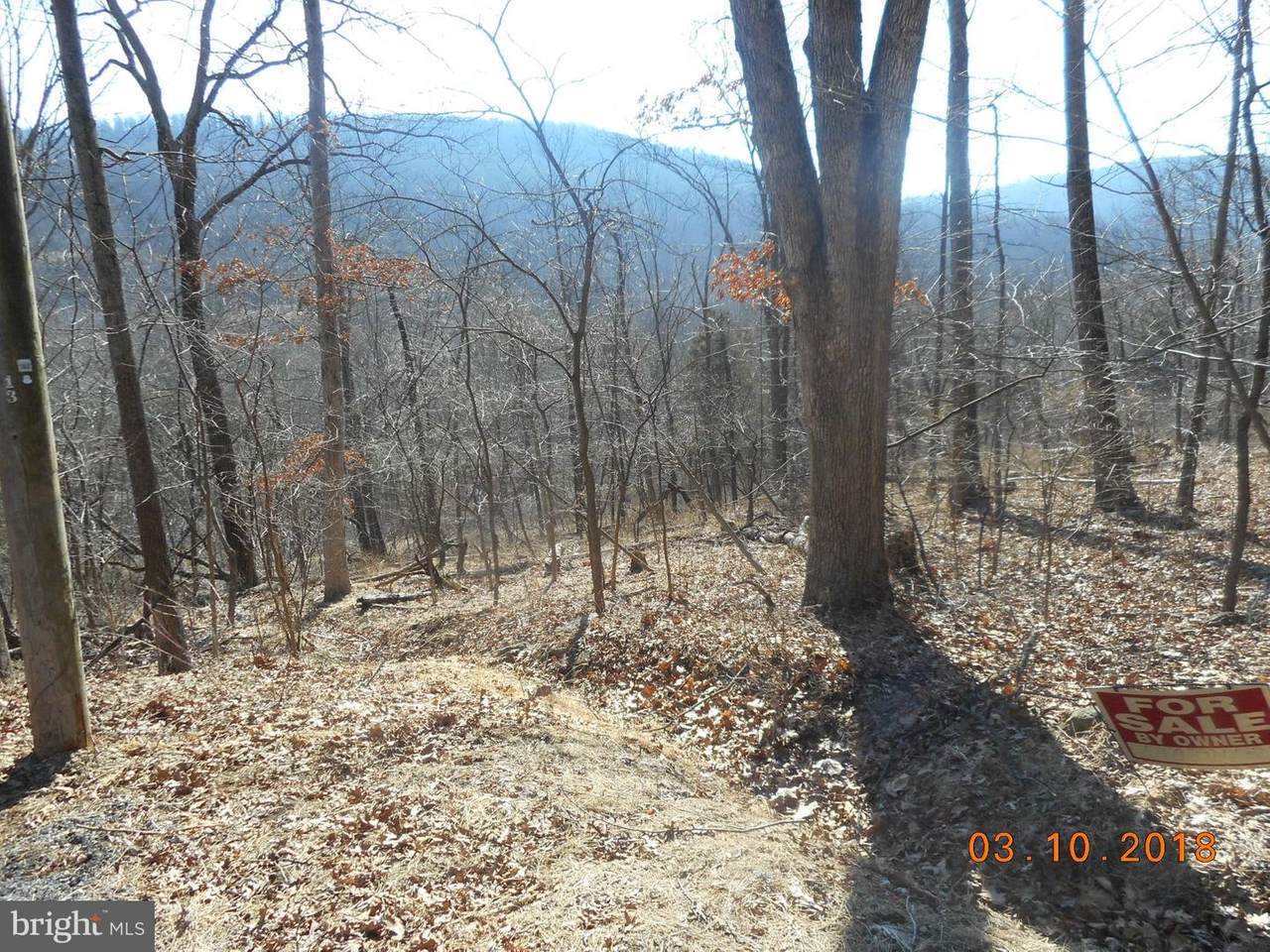 13 Thrush Trail - Photo 1
