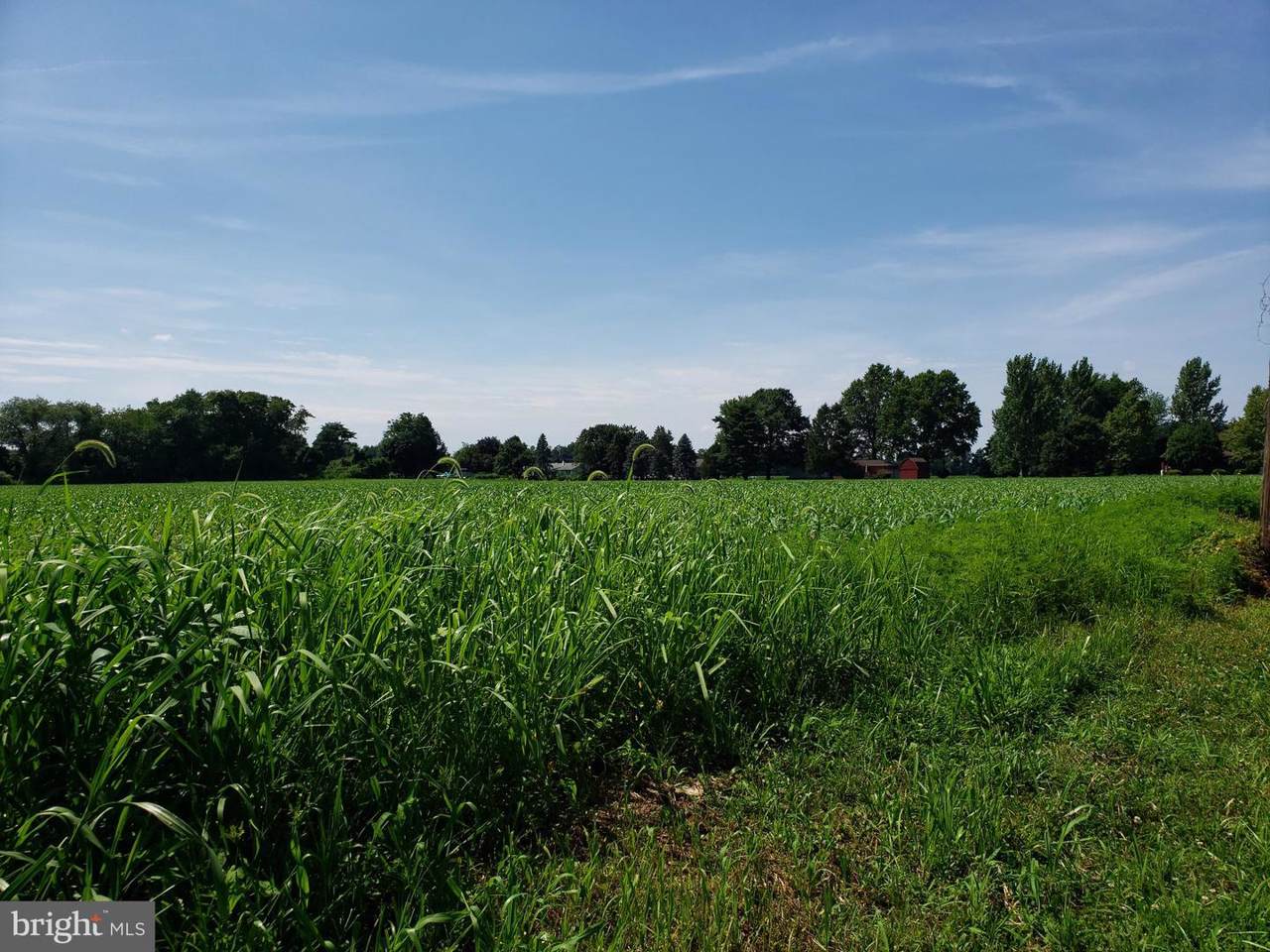 Lot 29 Old Toll Bridge Road - Photo 1