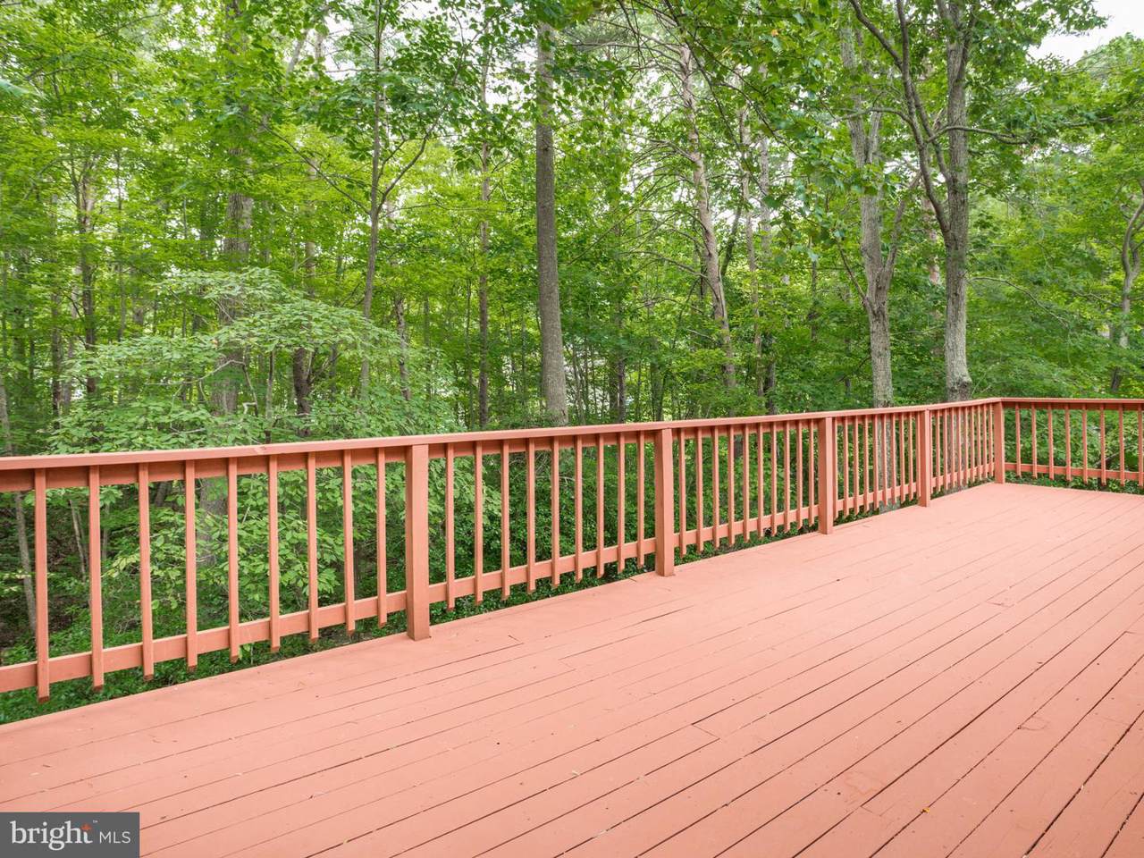 377 Cactus Trail - Photo 1
