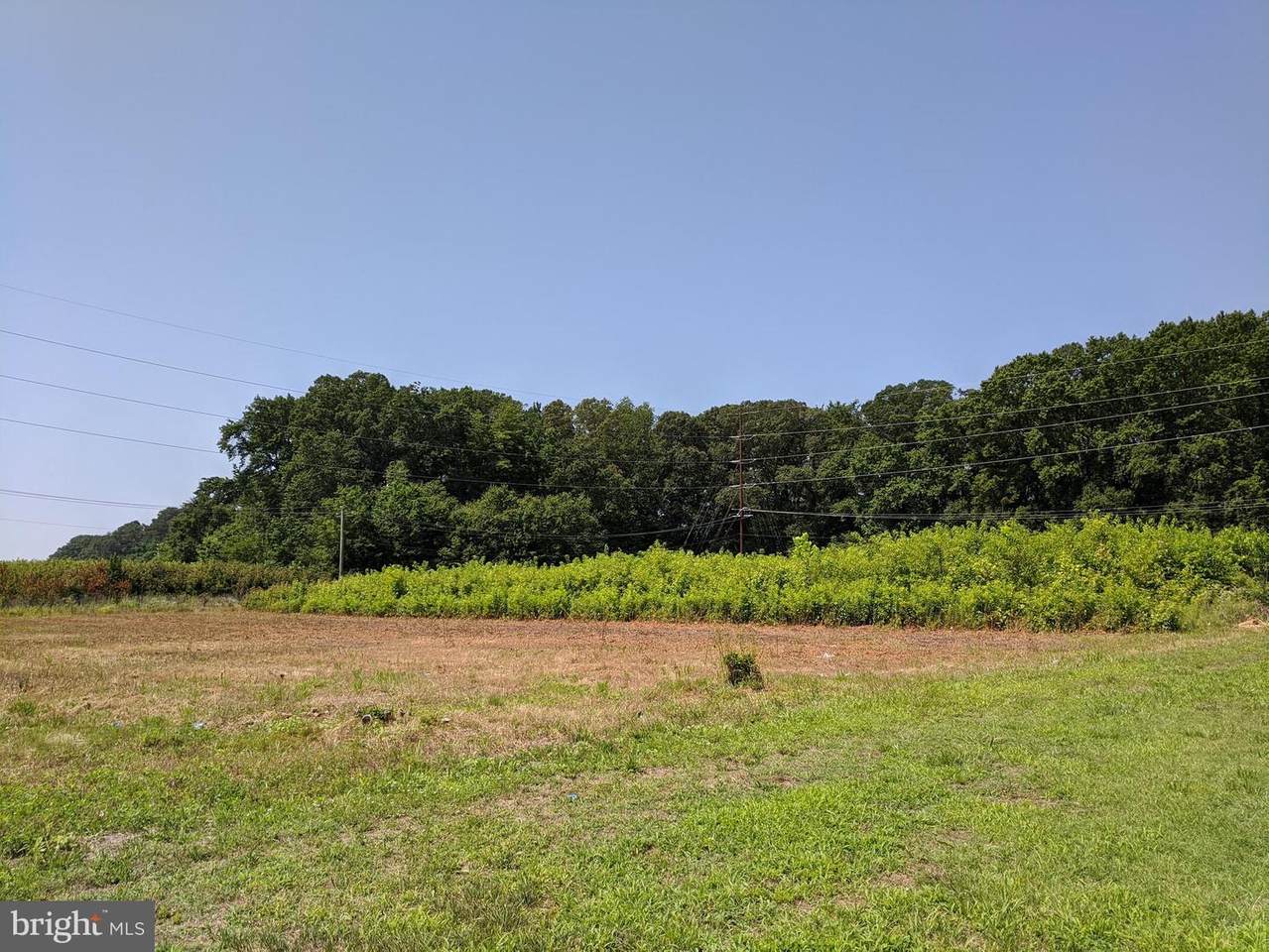 Lot 5 Maryland Avenue - Photo 1