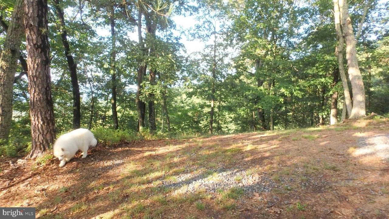 LOT 342 Nathaniel Mountain Drive - Photo 1
