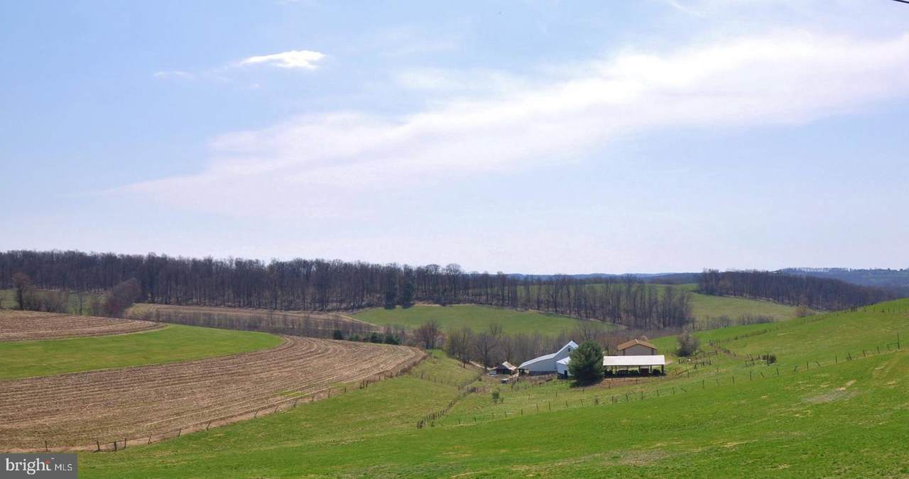 4772 Wolfgang Rd Road - Photo 1