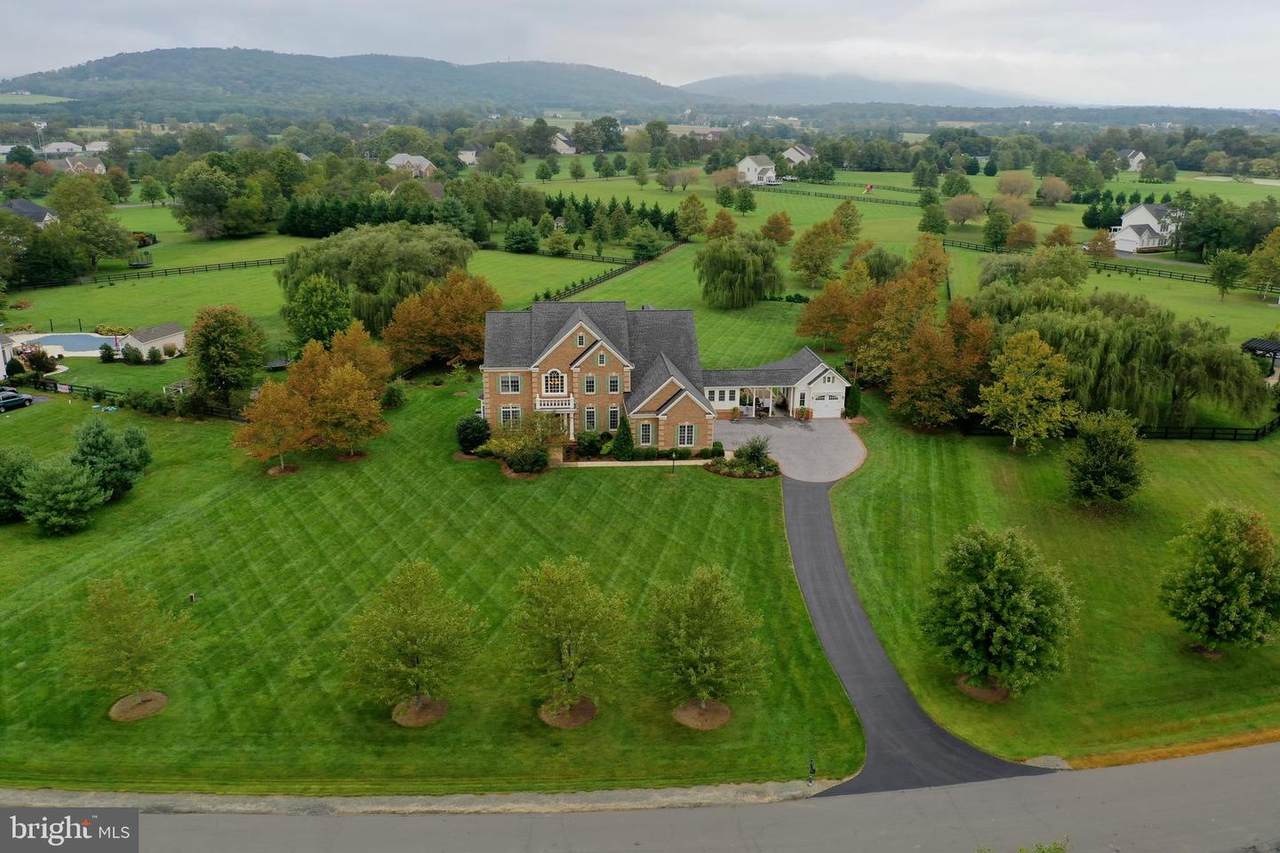 16802 Chestnut Overlook Drive - Photo 1
