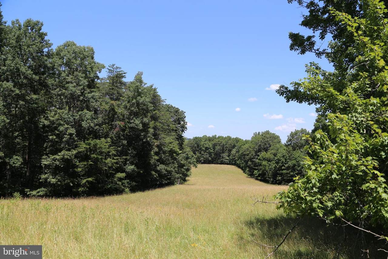 5163 Back Creek Road - Photo 1