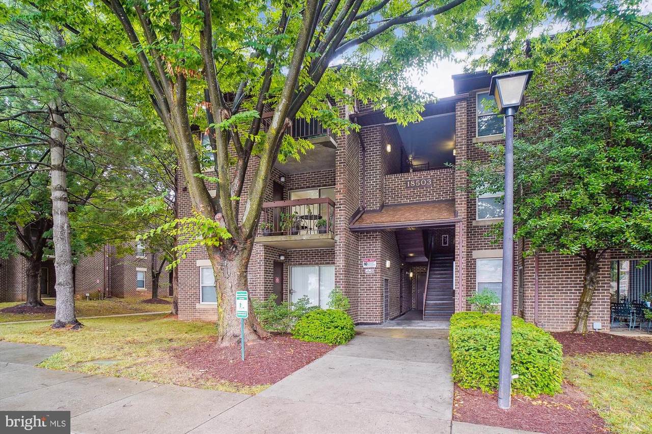 18503 Sweet Autumn Drive - Photo 1