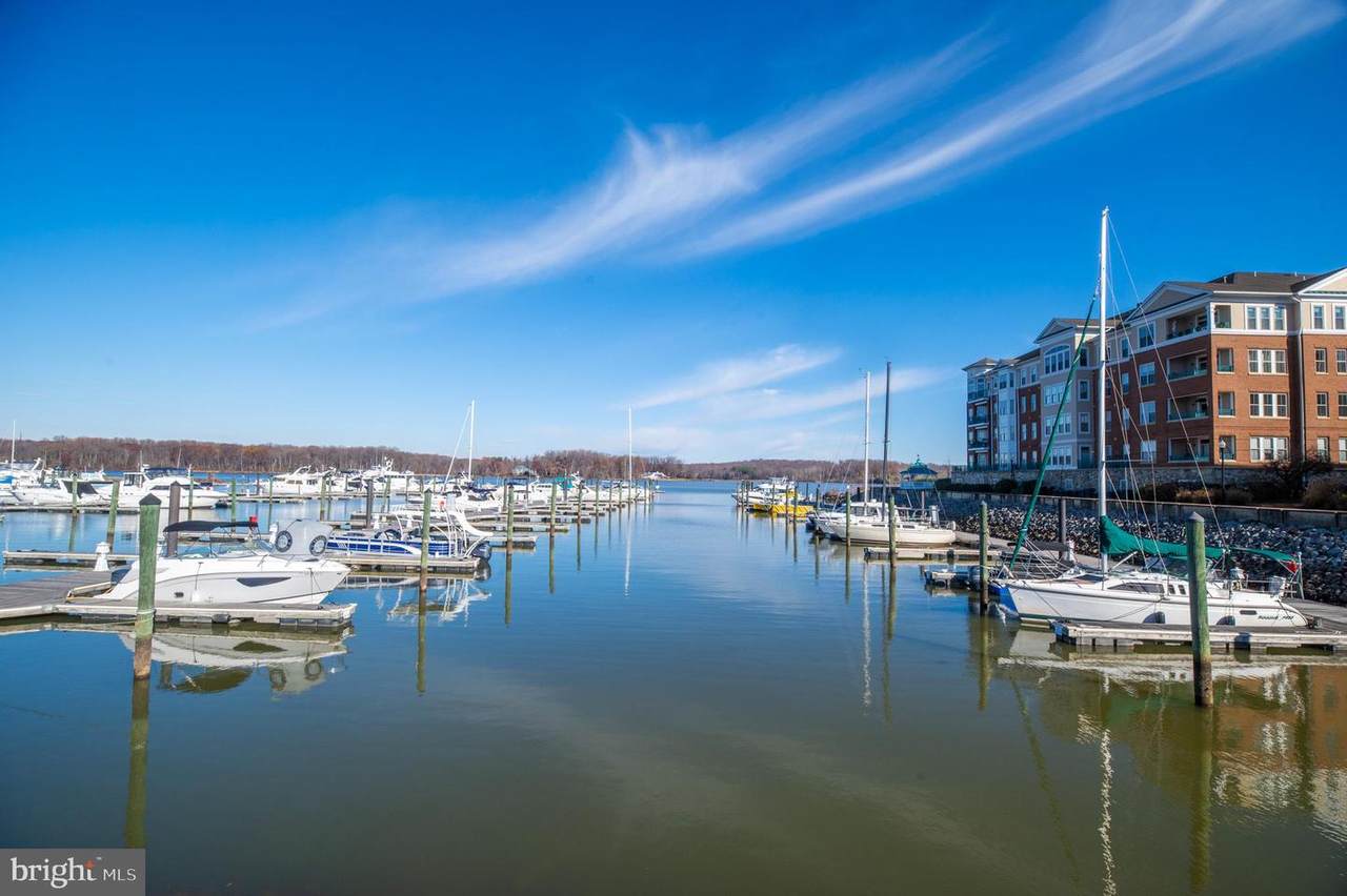 500 Belmont Bay Drive - Photo 1