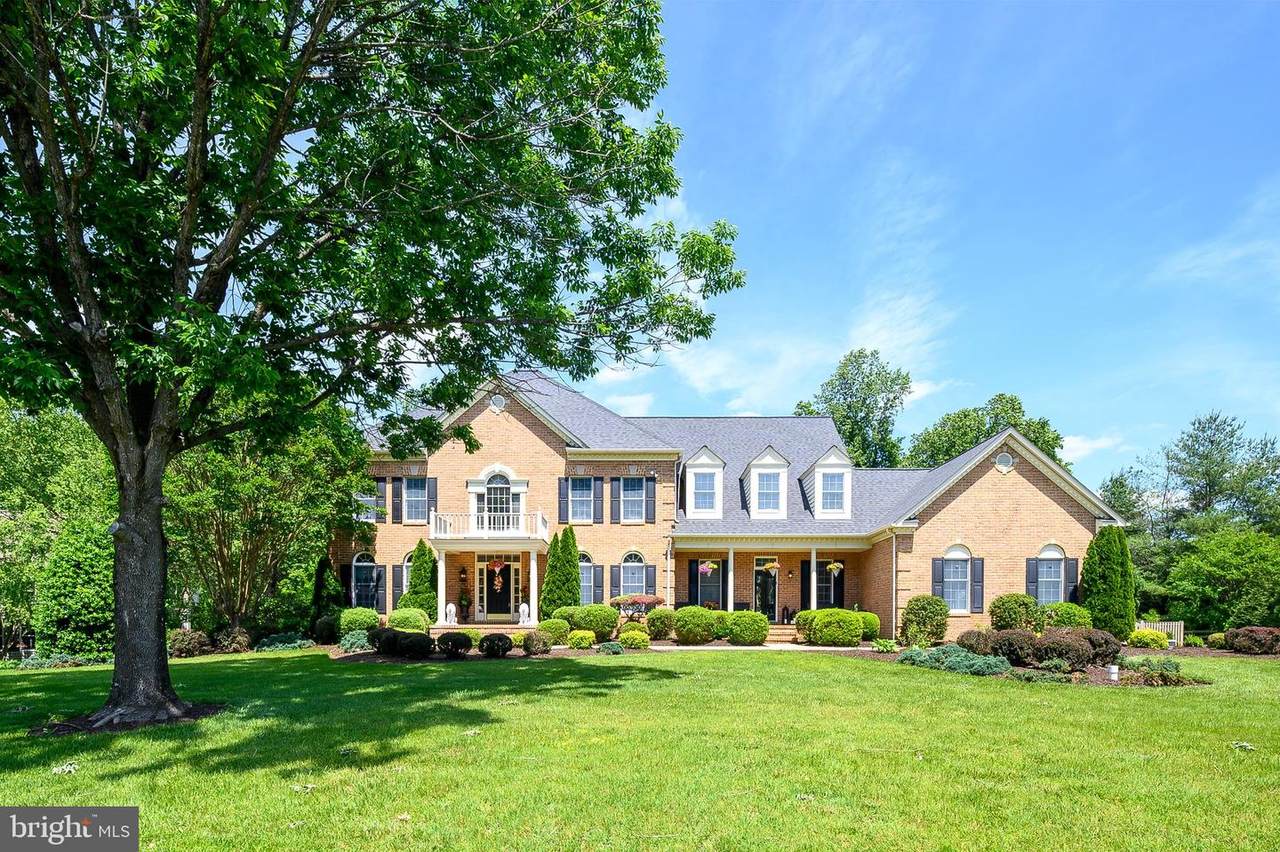 1203 Shelby Dale Lane - Photo 1