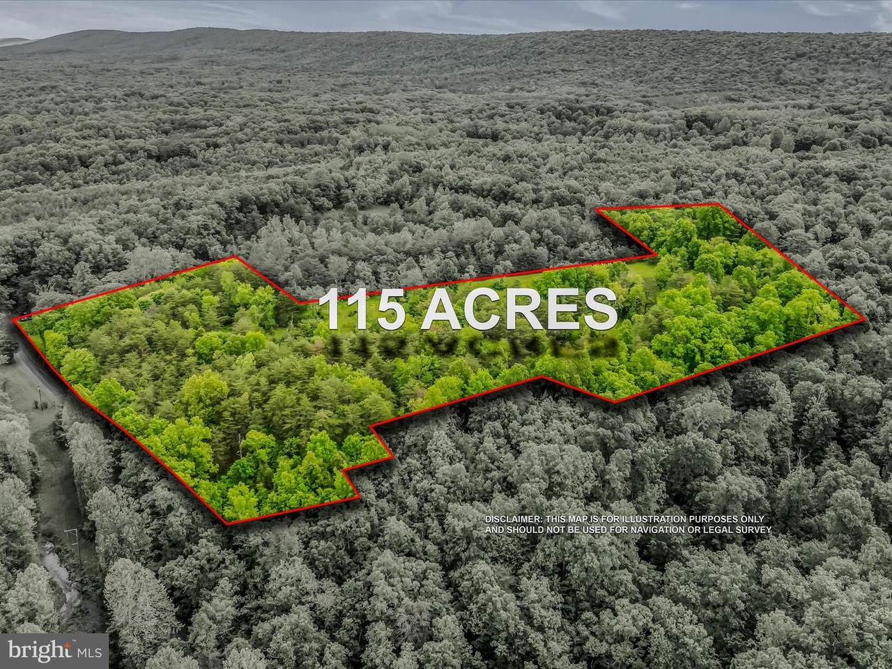 2429 Posey Hollow Road - Photo 1