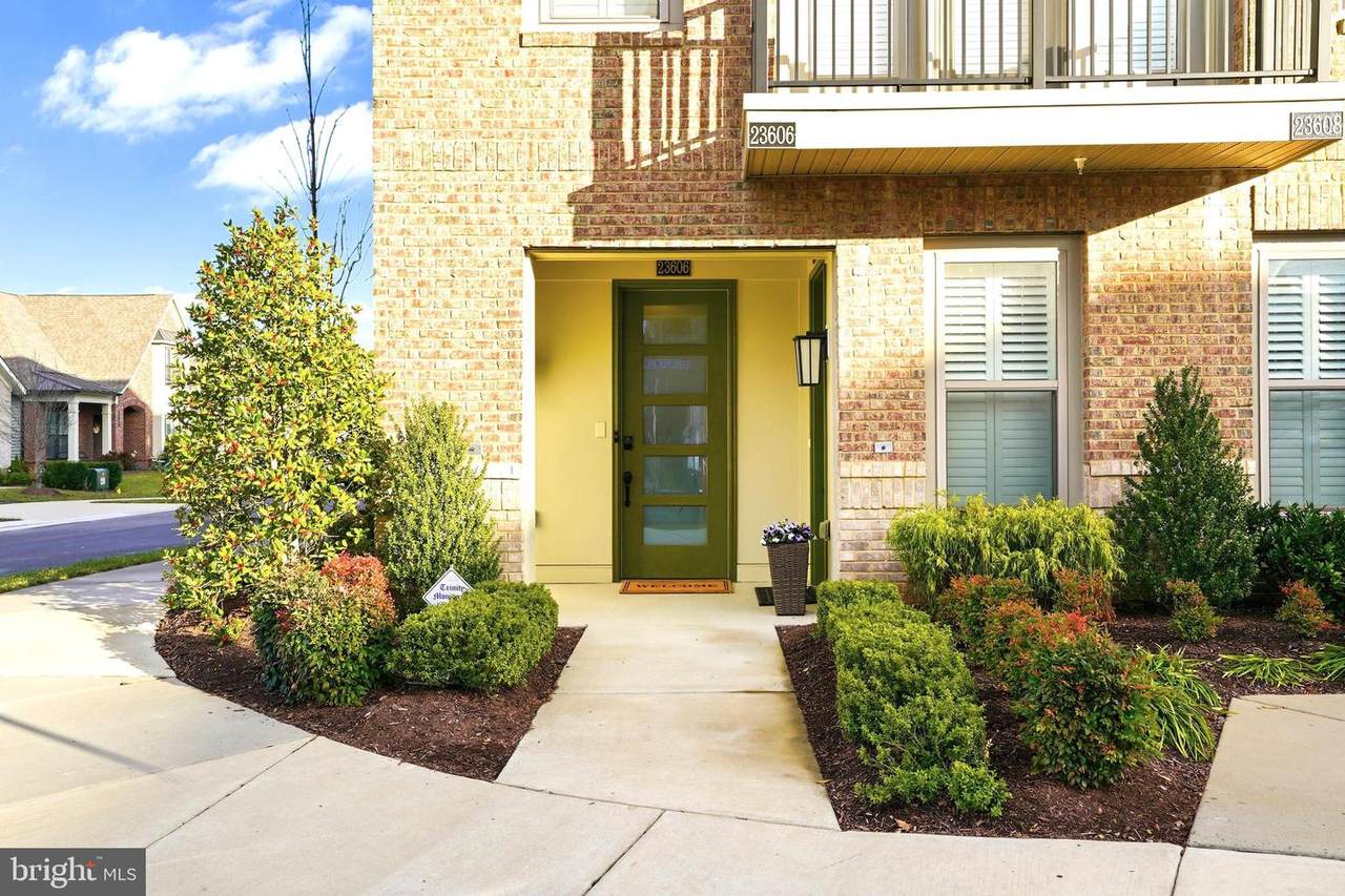 23606 Havelock Walk Terrace - Photo 1