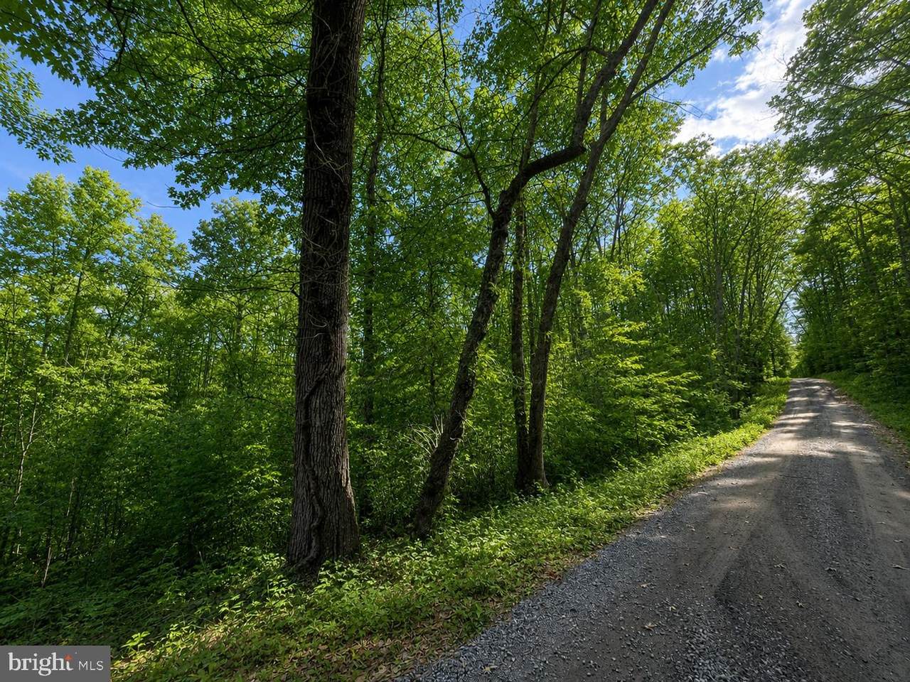 https://bt-photos.global.ssl.fastly.net/brightmls/1280_boomver_4_804331061646-2.jpg