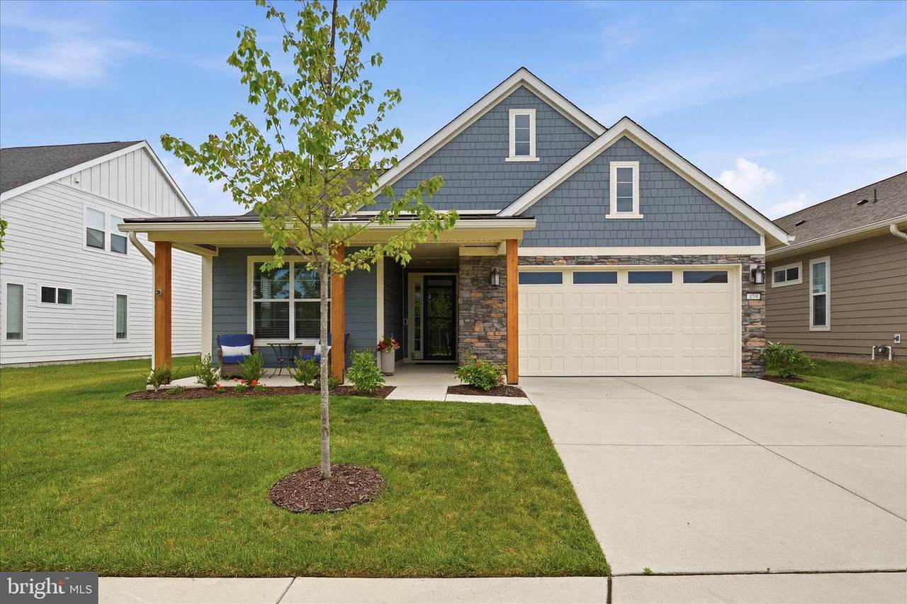 123 Cowbird Street - Photo 1