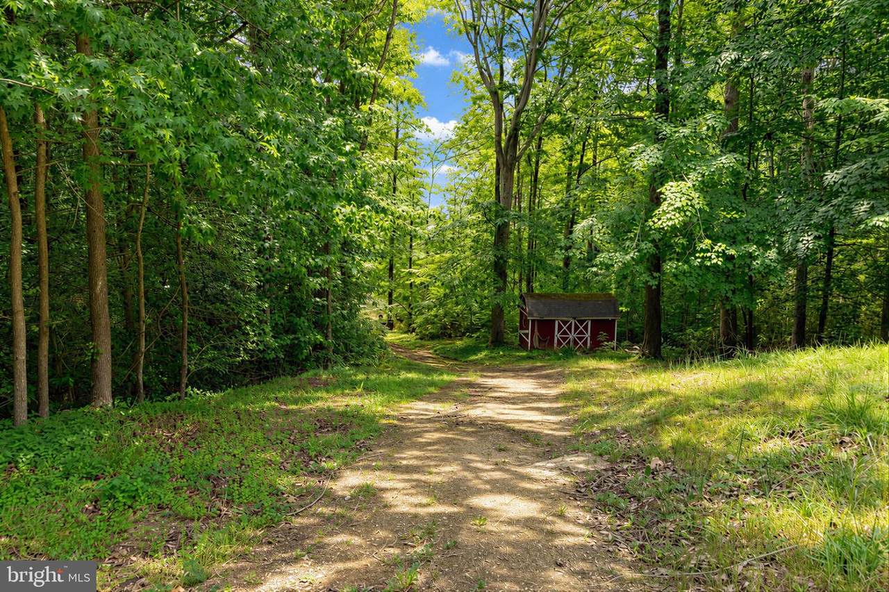 39655 Persimmon Creek Road - Photo 1