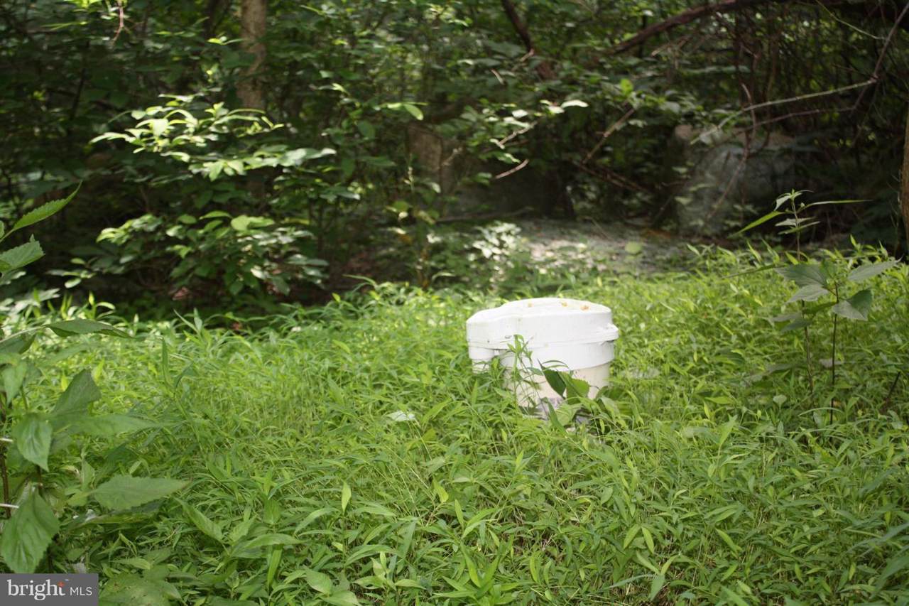 5120 Wigville Road - Photo 1 5120 Wigville Road - Photo 1