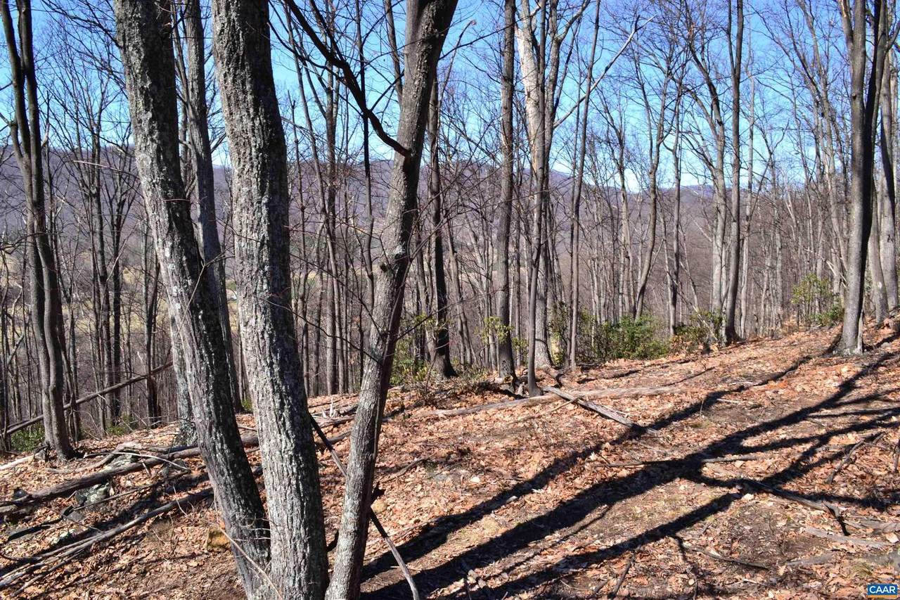 5885 Brush Mountain Trl - Photo 1