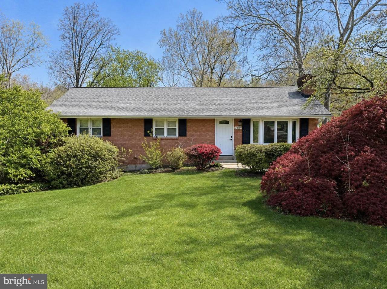 7409 Lake Drive - Photo 1