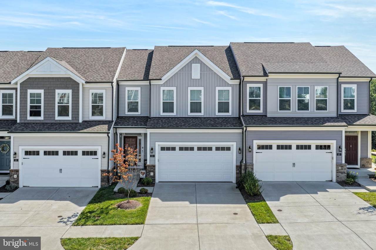 225 Smokebush Drive - Photo 1