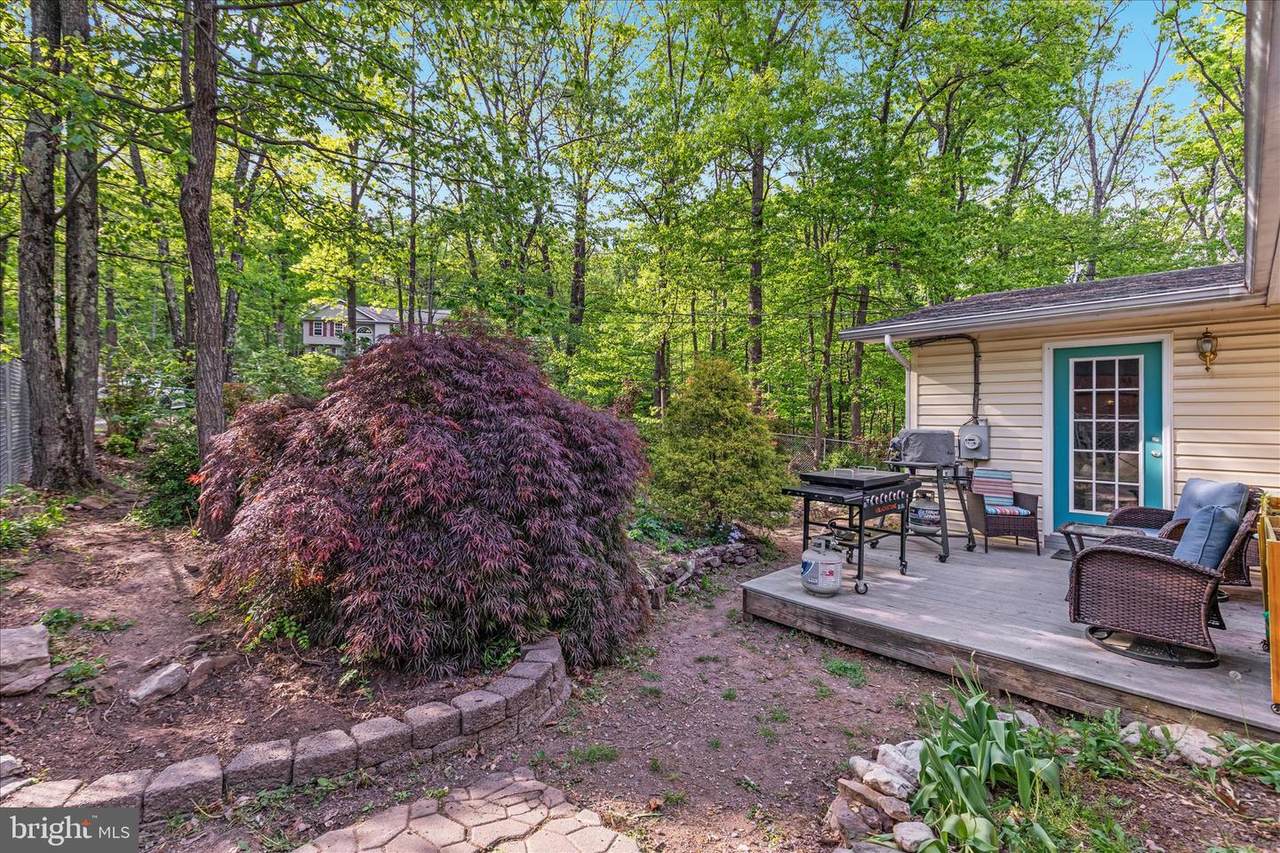 156 Geronimo Trail - Photo 1