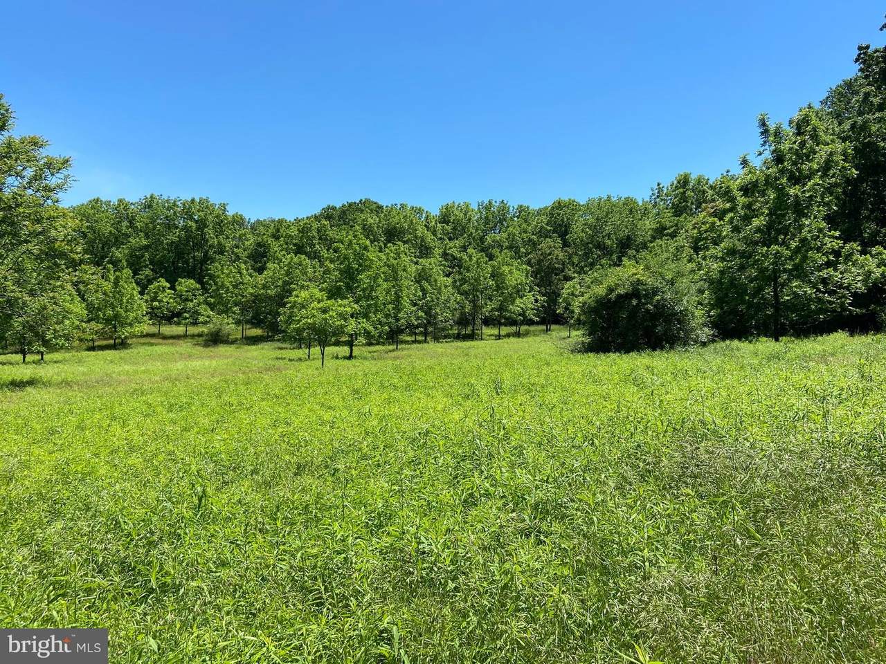Lot 7 Old Stone House Road - Photo 1