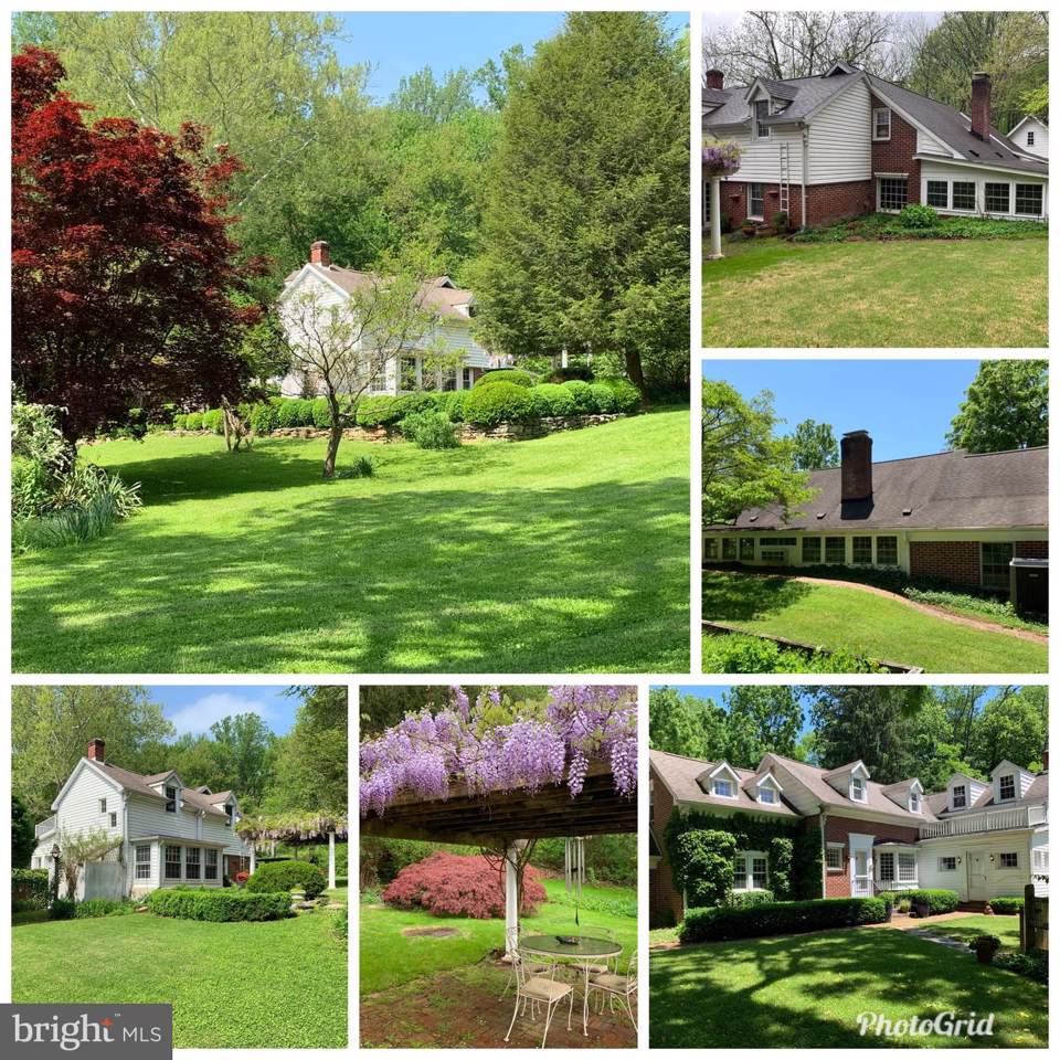 24501 Peach Tree Road - Photo 1