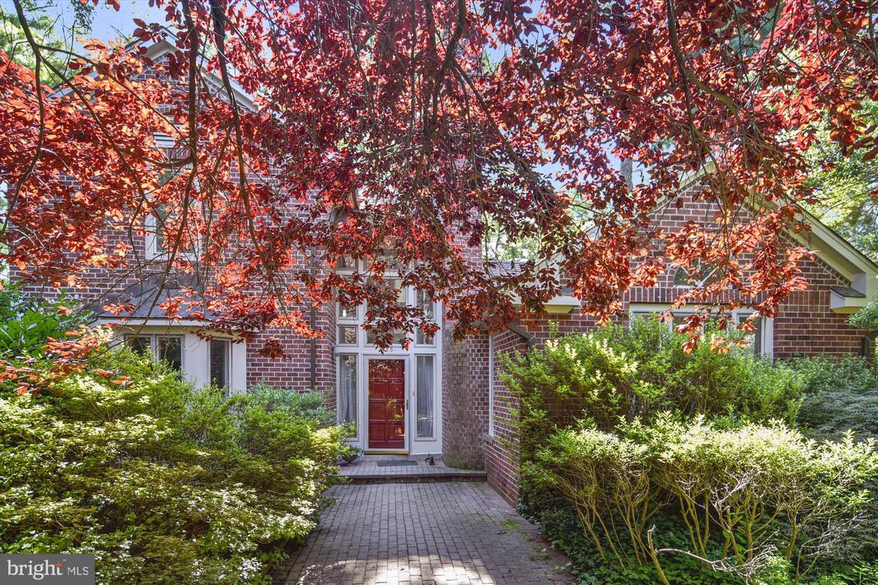 225 Winchester Street - Photo 1