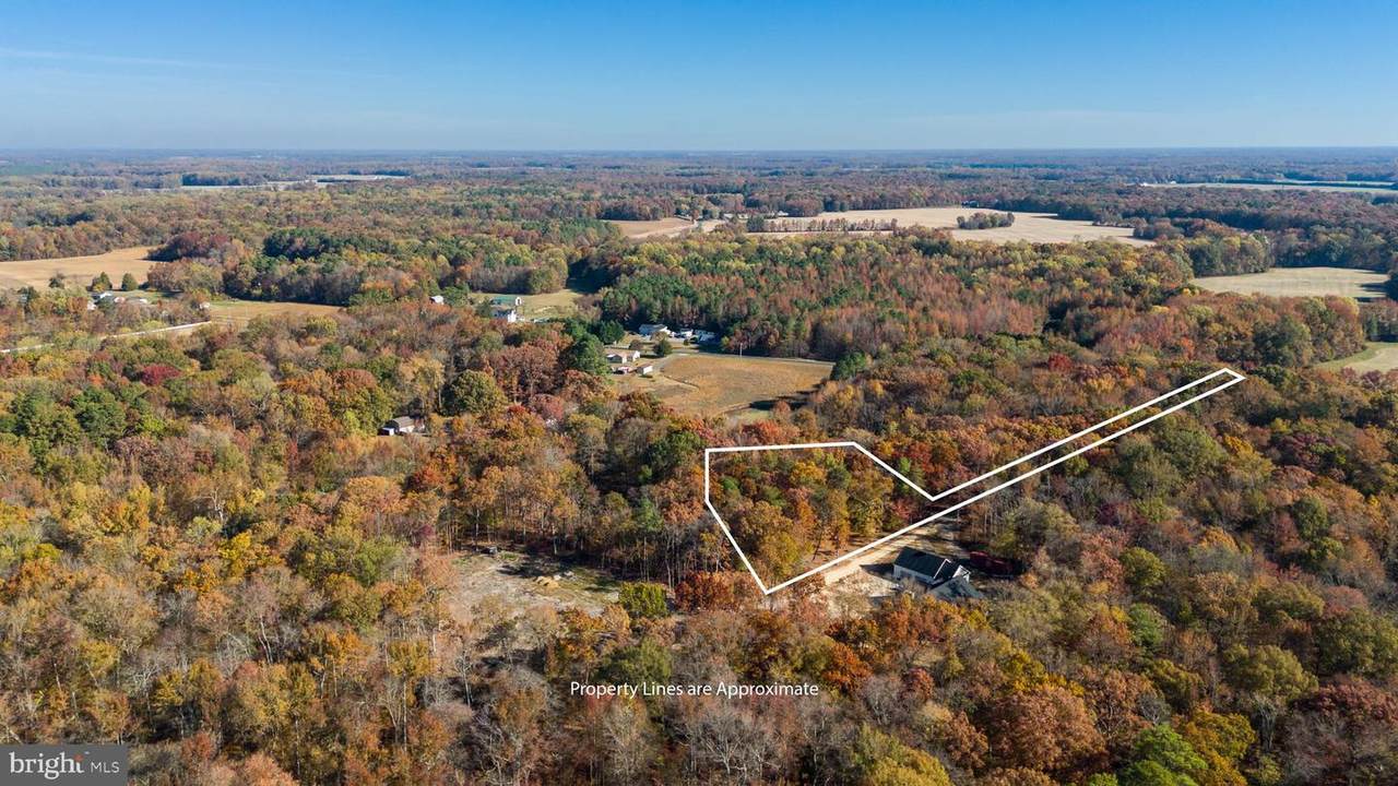 Burrisville Road - Photo 1