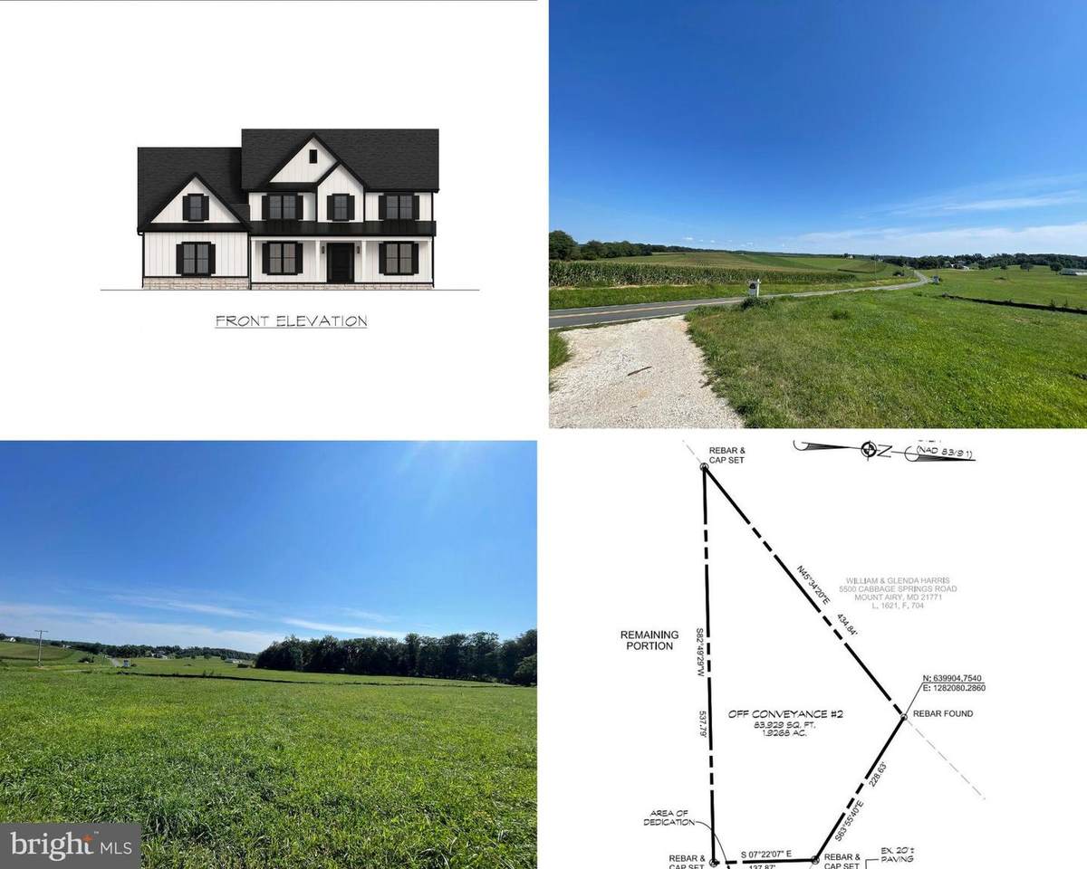  Cabbage Spring - Photo 1