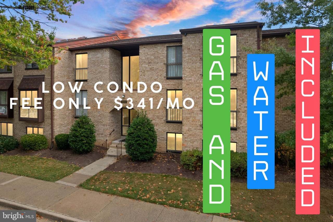 2042 Royal Fern Court - Photo 1