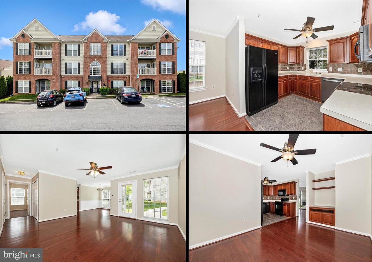 2509 Shelley Circle - Photo 1