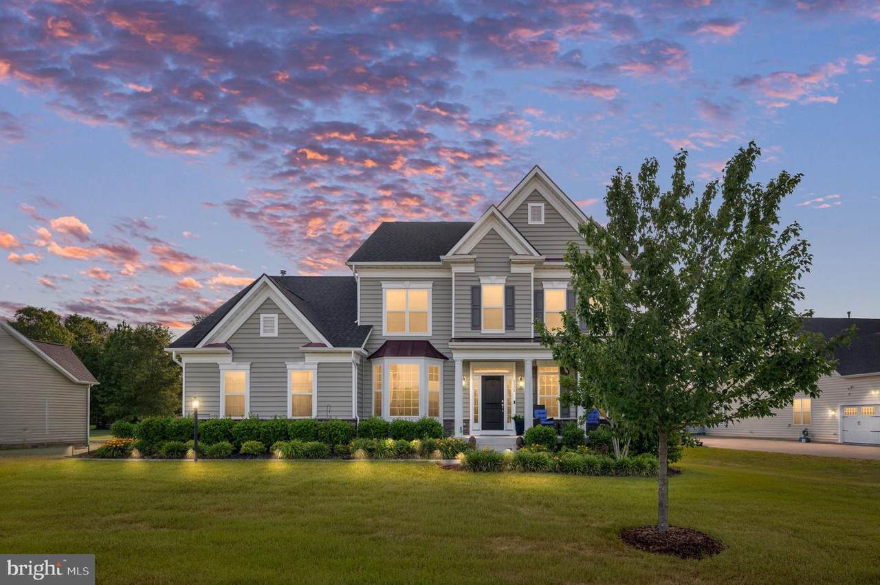 8626 White Fox Circle - Photo 1