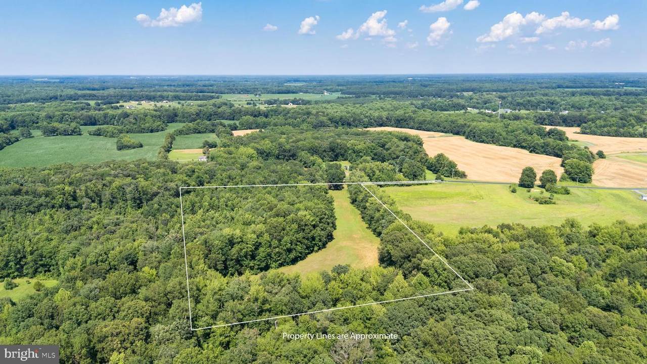Hatchett Road - Photo 1