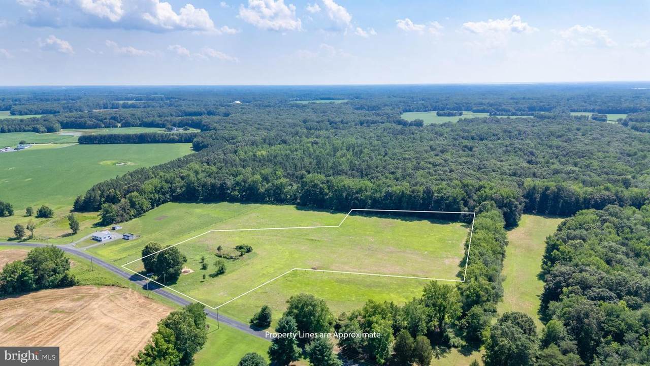 311 Hatchett Road - Photo 1