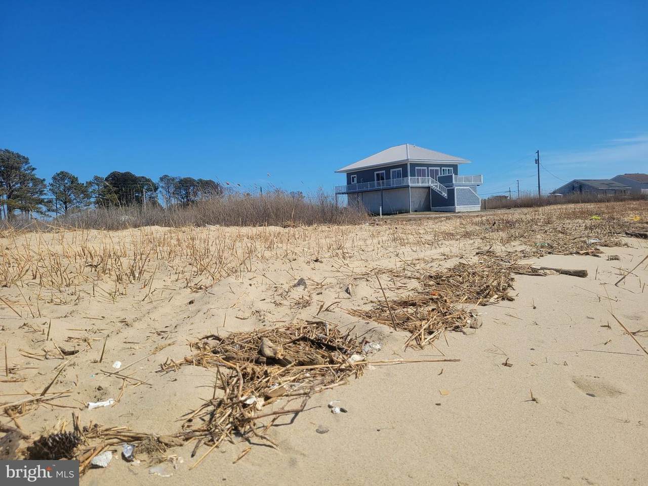 1826 Hoopersville - Photo 1