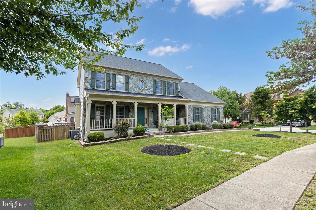 3963 Prickly Street - Photo 1