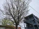 2012 Mount Royal - Photo 2