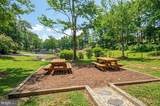 5509 Bazzanella Drive - Photo 49