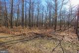 48 Fern Loop - Photo 5