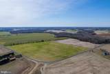 56.37 Acres Sharps Road - Photo 4