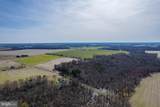 56.37 Acres Sharps Road - Photo 7