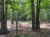 0 Mt Pony Road - Photo 2