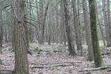 Lot on Route 2012 - Photo 28
