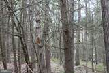 Lot on Route 2012 - Photo 29
