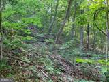 Lot 1 Carters Run - Photo 54