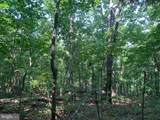 Lot 1 Carters Run - Photo 57