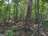 Lot 1 Carters Run - Photo 58