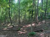 Lot 1 Carters Run - Photo 60