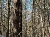 Lot 222 Beaver Road - Photo 5