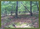  Off Rt. 220/Cut Off - Photo 1